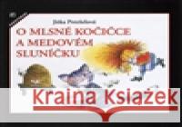 O mlsné kočičce Zdenka Krejčová 9788074420757 Aventinum