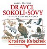 Dravci, sokoli a sovy Pavel Procházka 9788074420863