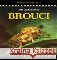 Brouci Jiří Zahradník 9788074421464