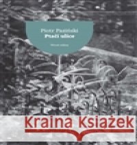 Ptačí ulice Piotr Paziński 9788074431913