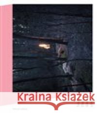 Skleněná zahrada Tatiana Tibuleac 9788074434518