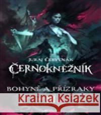 Bohyně a přízraky Juraj Červenák 9788074566400