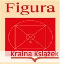 Figura Petr Wittlich 9788074671777