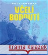 Včelí bodnutí Paul Murray 9788074705632