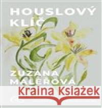 Houslový klíč Zuzana Maléřová 9788074752995