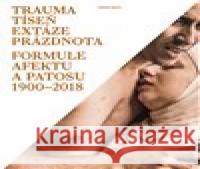 Trauma, tíseň, extáze, prázdnota Ladislav Kesner 9788074851520 Books & Pipes Publishing