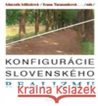 Konfigurácie slovenského realizmu Ivana Taranenková 9788074915468