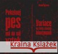 Pekelnej pes má na mě vztek Michal Bystrov 9788074927096