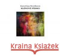 Klínové písmo Kateřina Brožková 9788074927263