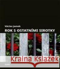 Rok s ostatními sirotky Václav Jamek 9788074927577