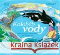 Koloběh vody Sam Falconer 9788075087362