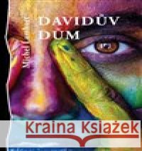 Davidův dům Michel Lambert 9788075113931