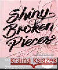 Shiny Broken Piece Dhonielle Claytonová 9788075296337 #booklab