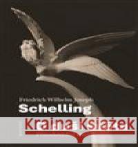 O duši světa Friedrich Wilhelm J. Schelling 9788075304520