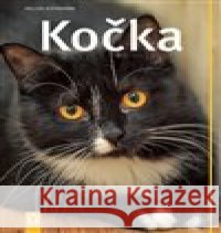 Kočka Helena Hofmannová 9788075411440