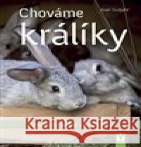 Chováme králíky Axel Guthjahr 9788075412959