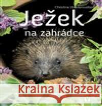 Ježek na zahrádce Christine Weidenweberová 9788075413680 Vašut