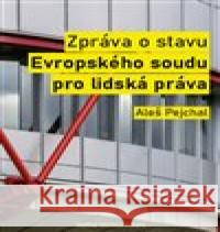 Zpráva o stavu Evropského soudu pro lidská práva Aleš Pejchal 9788075421050