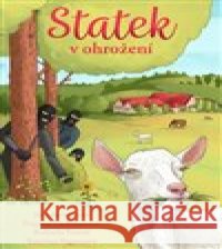 Statek v ohrožení Kateřina Vágnerová 9788075463951