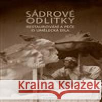 Sádrové odlitky Jakub Ďoubal 9788075603012 Univerzita Pardubice