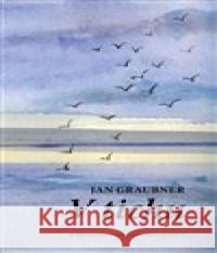 V tichu Jan Graubner 9788075662972