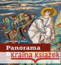 Panorama Bible - Starý zákon Stephen J. Binz 9788075664730 Karmelitánské nakladatelství