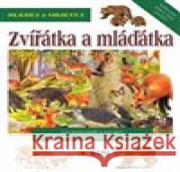 Hledej a objevuj zvířátka a mláďátka  9788075675064 Sun