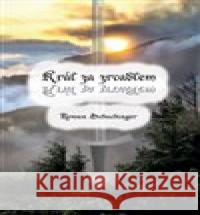 Král za zrcadlem Roman Schachinger 9788075682369