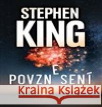 Povznesení Stephen King 9788075930705 Pavel Dobrovský - Beta