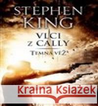 Temná věž V. - Vlci z Cally Stephen King 9788075931856 BETA Dobrovský