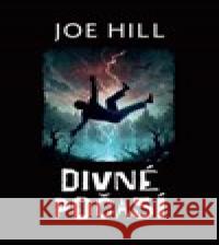 Divné počasí Joe Hill 9788075936462 Pavel Dobrovský - Beta