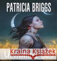 Uchvatitel duší Patricia Briggs 9788075941213