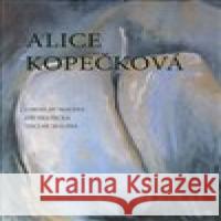 Alice Kopečková Václav Malina 9788076230200 CERM
