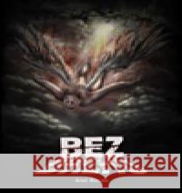 Bez břehu Aleš Burda 9788076291539