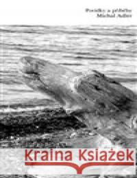 Povídky a příběhy Michal Adler 9788076452619