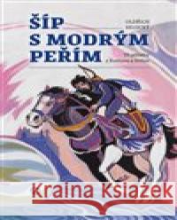 Šíp s modrým peřím Oldřich Selucký 9788076560673 Machart