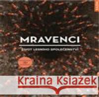 Mravenci - život lesního společenství Armin Schieb 9788076700369