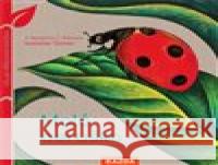 Malá beruška Isabelle Simler 9788076700550 Nakladatelství Kazda