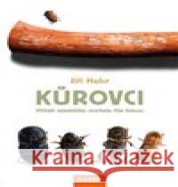 Kůrovci Jiří Hulcr 9788076701199
