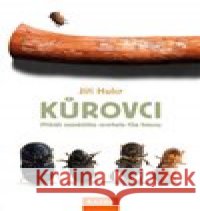 Kůrovci Jiří Hulcr 9788076701199