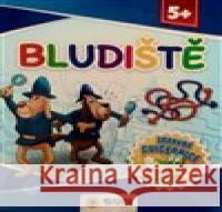 Zábavná cvičebnice - Bludiště  9788076872134 Sun