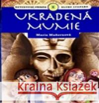 Ukradená mumie - klub stopařů  9788076872899 Sun