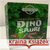 Kniha a výukové karty - Dinosauři  9788076873353 Sun