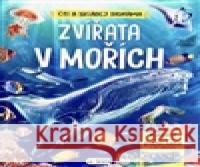 ZVÍŘATA V MOŘÍCH - dioráma  9788076873438 Sun