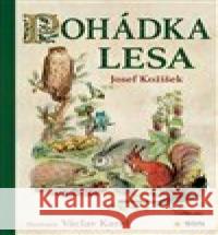 Pohádka lesa Václav Karel 9788076874503