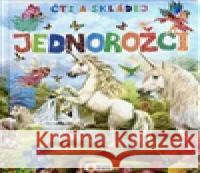 JEDNOROŽCI-Čti a skládej  9788076875425 Sun