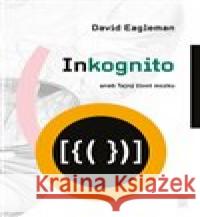 Inkognito David Eagleman 9788076900189 Dybbuk