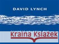 Chytání velkých ryb David Lynch 9788076901292