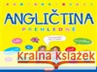 Angličtina přehledně  9788076972148 Infoa