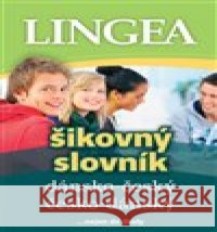 Dánsko-český česko-dánský šikovný slovník kolektiv autorů 9788077000154 Lingea